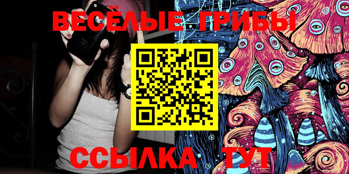 Псилоцибиновые грибы Psilocybe  Вход с VPN  Владикавказ 
