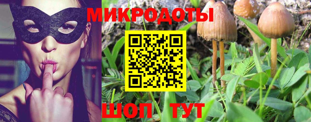 Галлюциногенные грибы Cubensis Владикавказ